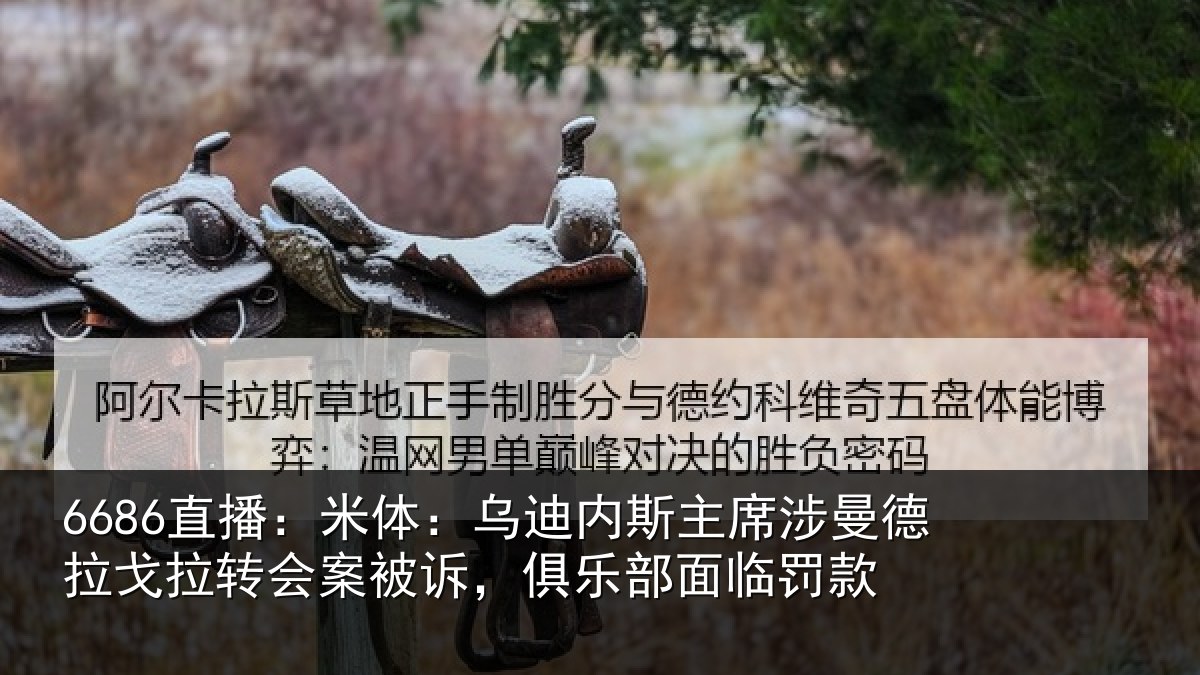 6686直播:米体:乌迪内斯主席涉曼德拉戈拉转会案被诉,俱乐部面临罚款