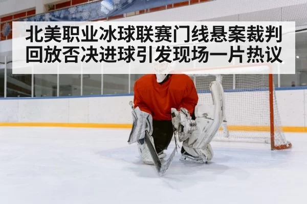 ice hockey goal line