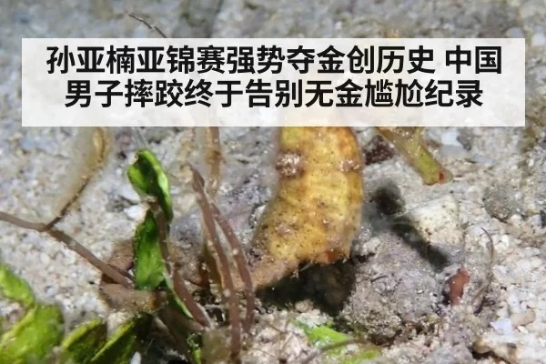 孙亚楠亚锦赛强势夺金创历史 中国男子摔跤终于告别无金尴尬纪录